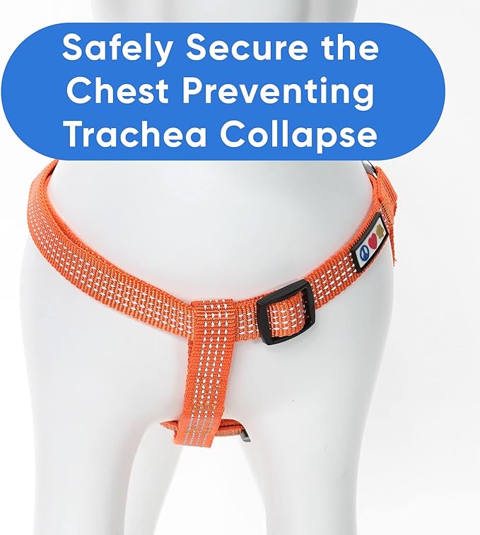 Pawtitas Reflective Step-in Dog Harness – Adjustable No-Pull Vest for Puppies to Seniors, Safe & Comfortable, S Orange