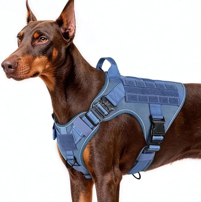 rabbitgoo Tactical Dog Harness for Large Dogs, No Pull Upgraded Reflective Heavy Duty Molle Vest with Handle, Adjustable Military Service Dog Vest for Walking Hiking Training, Blue, L