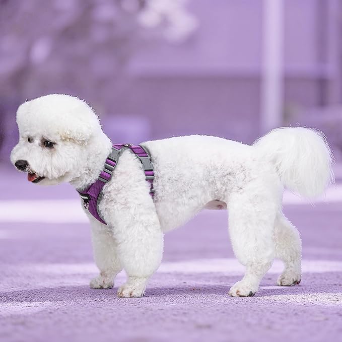 Small Dog Harness and Leash Set，No Pull Adjustable Pet Harness for Small Dogs ，Breathable Mesh Reflective Dog Vest Harness (Purple, S)