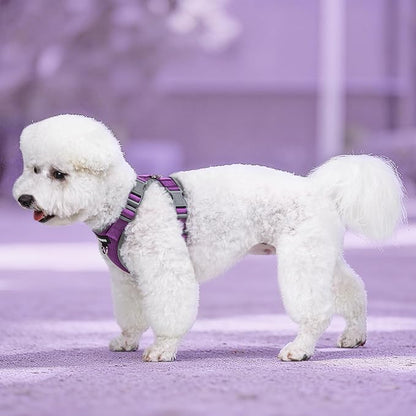 Small Dog Harness and Leash Set，No Pull Adjustable Pet Harness for Small Dogs ，Breathable Mesh Reflective Dog Vest Harness (Purple, S)