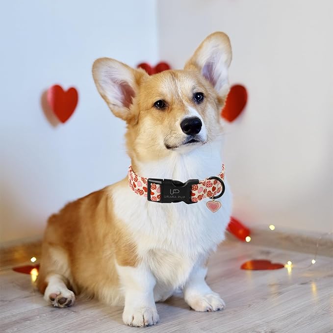 Valentine’s Dog Collar, Red Heart Dog Collar with Quick Release, Sweet Valentine’s Gift Pet Girl Boy Dog Collar for Puppy Small Medium Dogs, Wedding Dog Collar