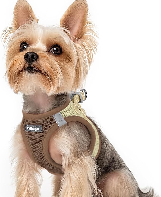 rabbitgoo Small Dog Harness, Step-in Soft Mesh Puppy Vest with Safety Buckle, Breathable Reflective Pet Harness for Small Sized Dogs, Brown & Beige XS