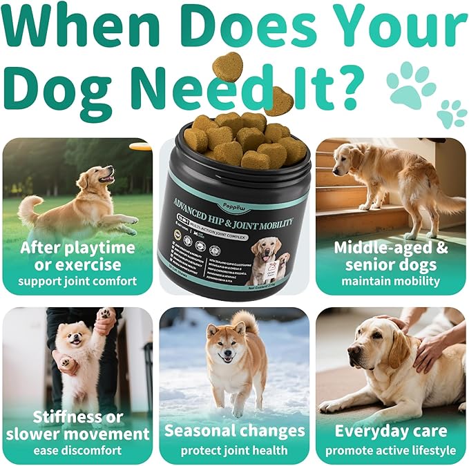 Advanced Dog Joint Supplement – 15-in-1 Glucosamine for Dogs with Chondroitin, MSM & Green Lipped Mussel – Hip & Joint Pain Relief Mobility Chews, Chicken Flavor, 90Ct Breeds