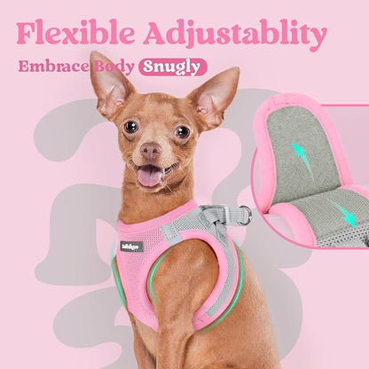 rabbitgoo Small Dog Harness, Step-in Soft Mesh Puppy Vest with Safety Buckle, Breathable Reflective Pet Harness for Extra Small Dogs, Pink & Gray XXS
