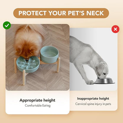 Ceramic 1.2 Cup Raised Slow Feeder Dog Bowl Set, Elevated 6.1inch Bowl and 7.3inch Slow Pet Food Dish with Wooden Stand for Small and Medium Dog (2 x Light Green+ Stand)