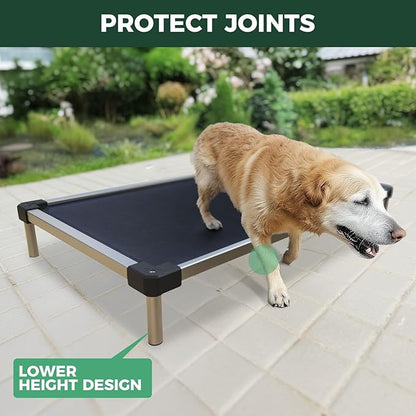 FXW TitanNest Chew-Proof Elevated Dog Bed, Raised Cot for Indoor/Outdoor/Camping Use, Durable & Waterproof Cooling Pet Bed for Large Dogs, 47.0" L x 29.0" W x 7.3" H, Black