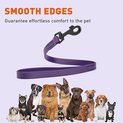 Dogline Biothane Waterproof Dog Leash Strong Coated Nylon Webbing with Black Hardware Odor-Proof Easy to Clean High Performance for Small or Large Dogs Made in USA 2 ft Lead, Violet Purple