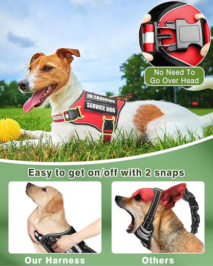 Service Dog Vest Harness and Leash Set+10 Patches for Puppy Small Dogs,Do Not Pet Emotional Support Dog Vest with 2 Soft Padded Handle for Everyday/Training (Red XS)