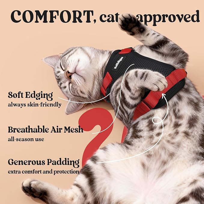 rabbitgoo Cat Harness and Leash for Walking, Escape Proof Soft Adjustable Vest Harnesses for Cats, Easy Control Breathable Reflective Strips Jacket, Black & Red, M