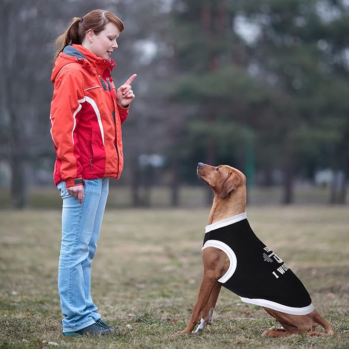 12 Pieces Dog Shirts Pet Printed Clothes with Funny Letters Summer Pet T Shirts Cool Puppy Vest Breathable Dog Outfit Soft Cat Sweatshirt for Chihuahuas Cats Accessories, 12 Styles(Medium)