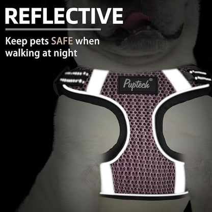 PUPTECK Dog Harness and Leash Set Small Sized, Step in No Pull Adjustable Puppy Cat Harness Reflective Pet Vest