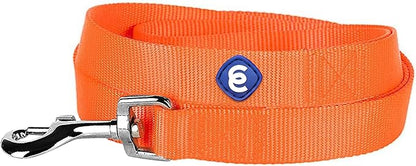 Blueberry Pet Essentials Florence Orange Dog Leash for X-Small -5' * 3/8" Dogs | Heavy Duty Nylon Lead | Lightweight Puppy & Cat Leash for Walking & Training