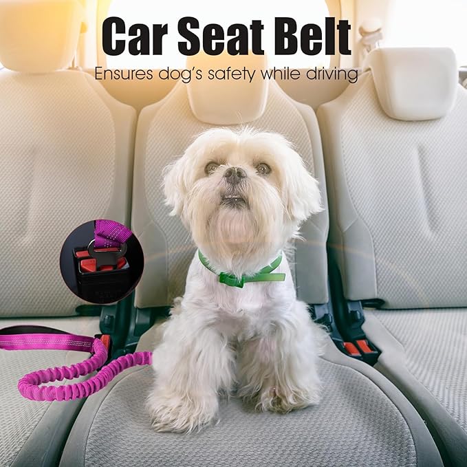 BUMBIN 6Ft Dog Leash Large Dogs, Bungee Dog Leash with 2 Handles, Heavy Duty Leashes for Medium Small Dogs, No Pull Shock Absorbing，with Car Seat Belt for Training, Pink