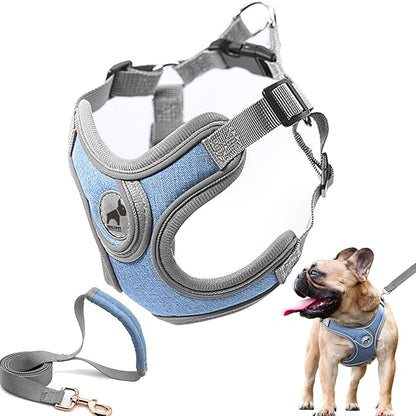 Dog Harness with Leash Set, Adjustable Step in Collars Harness with Breathable Padded Vest for Small Medium Large Dogs Training and Running(L, Blue)