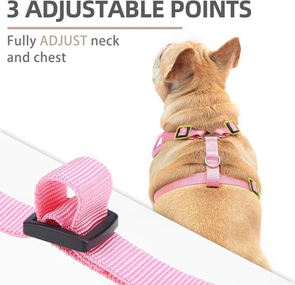 PUPTECK Small Dog Harness and Leash Set, No Pull Adjustable Puppy Cat Harness, Reflective Soft Mesh Pet Vest Small Sized, Pink, XS