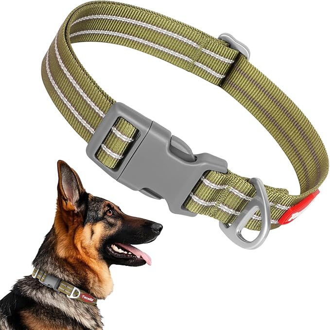 Tacwild Adjustable Reflective Dog Collar, Puppy Collar with D-Ring Buckle - Durable Safety Nylon Dog Collars for Large Dogs (Green-L)