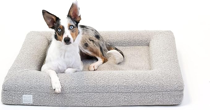 Bluewater Dog Luxury Boucle Orthopedic Memory Foam Dog Bed with Waterproof Liner and Machine Washable Cover with YKK Zippers (Medium, 37" L x 30" W x 6" Th, Sand)