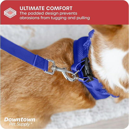 Downtown Pet Supply Step in Dog Harness No Pull, X-Large, Blue - Adjustable Harness with Padded Mesh Fabric and Reflective Trim - Buckle Strap Harness for Dogs