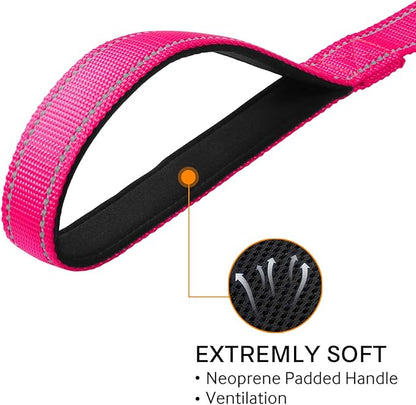 Joytale Dog Leash, 6 FT Double-Sided Reflective, Padded Handle Nylon Heavy Duty Leashes for Medium & Large Dogs Walking, Hotpink