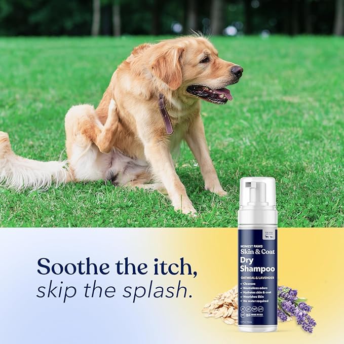 Honest Paws Dog Dry Shampoo - Waterless No Rinse Foaming Formula Reducing Itch Cleanse Hydrate Nourish Dry Skin and Smelly Coat Help Decrease Odor Shedding and Allergies - Oatmeal & Lavender - 6.3 oz