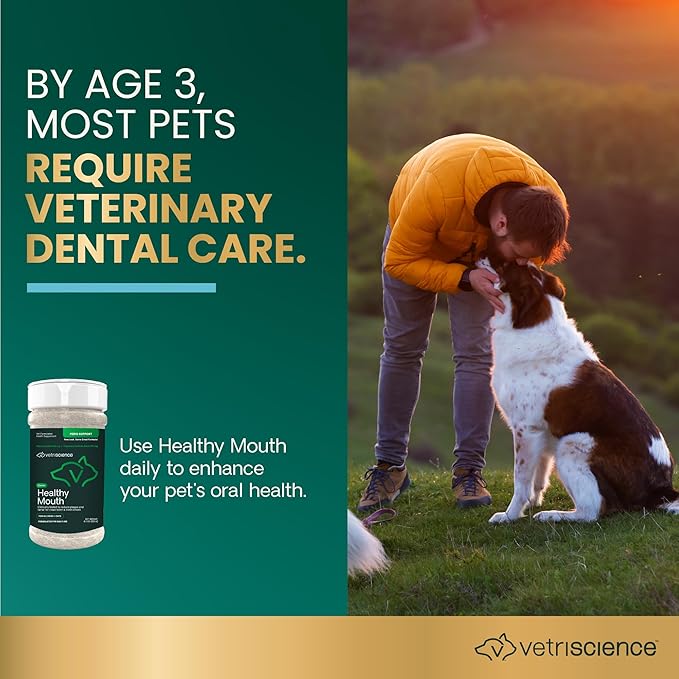 VetriScience Dental Care Powder, Perio Support Clinically Tested Dental Supplement for Small, Medium and Large Breed Dogs, Freshen Breath, Control Plaque and Tartar, Oral Health, 4.2 oz