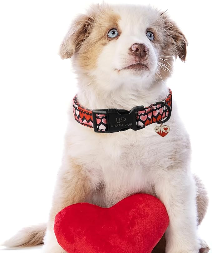 Pink Heart Dog Collar, Medium, Cotton, Valentine's Gift, Small & Medium Dogs