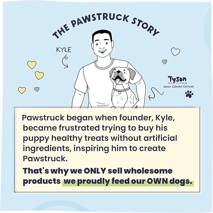 Pawstruck Large 5-6" Filled Dog Bones, Peanut Butter Flavor - Made in USA, Long Lasting Stuffed Femur for Aggressive Chewers, Dental Treat - Pack of 3, Packaging May Vary
