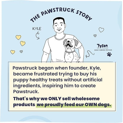 Pawstruck Large 5-6" Filled Dog Bones, Peanut Butter Flavor - Made in USA, Long Lasting Stuffed Femur for Aggressive Chewers, Dental Treat - Pack of 3, Packaging May Vary