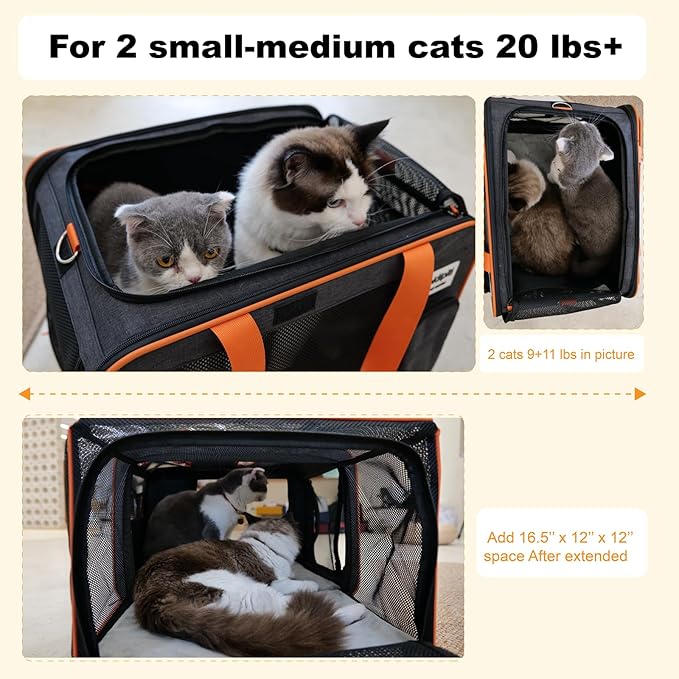 pidipiti 20 x 14 x 14 inches Expandable pet Carrier for 1 Large cat Under 25 lbs,2 Medium Cats/Rabbits 20 lbs+, 1 Small Dog Under 15 lbs,cat Crate/Bag for Short Trip/Long Distance car Travel