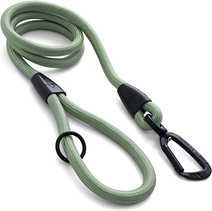 MADE TO ROAM Premium Everyday Leash - Ultra Soft Dog Leash with Aviation Aluminum Carabiner for Small, Medium, Large Dogs - Washington Rain, 4ft (Rubber Coated Metal Clamps)