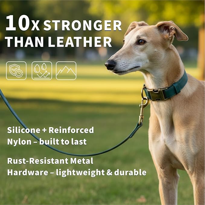 Silicone Dog Collar and Leash Set, Waterproof & Odor-Proof Puppy Collar for Small Dogs, Soft Flexible Leather-Look Dog Collars, Durable Thick Adjustable Pet Collar (Green, Large (14.5-24" Neck))