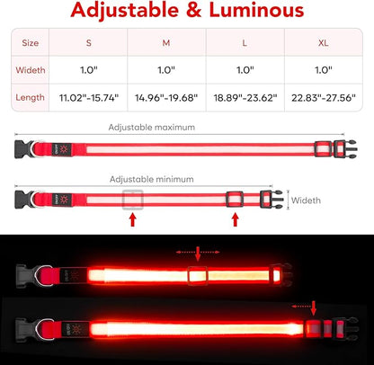 Vizpet LED Dog Collar, Light Up Dog Collar Adjustable USB Rechargeable Super Bright Safety Light Glowing Collars for Dogs(Large,Red)