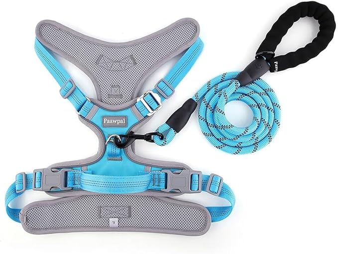 Paawpal Adjustable Dog Harness - No Pull, Reflective, Soft Padded for Small, Medium, Large Dogs - Includes Leash Turquoise S