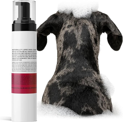 Dog Shampoo for Sensitive Skin - Gentle Natural Dog Wash for Odor Control - Oatmeal Shampoo for All Dogs & Puppies - 8fl oz (Cranberry Spice)