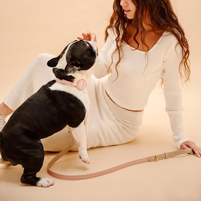 NINA WOOF Leather Dog Leash - Slim Leash with Reinforced Hardware, European Design, Pink, 4ft