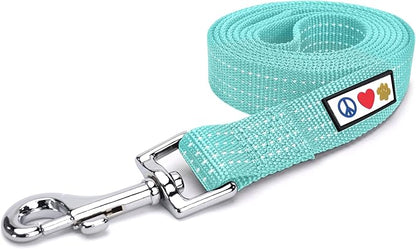 Pawtitas Teal Dog Leash 6 ft M/L Reflective Durable Lightweight Dog Lead for Medium or Large Dogs and Puppies