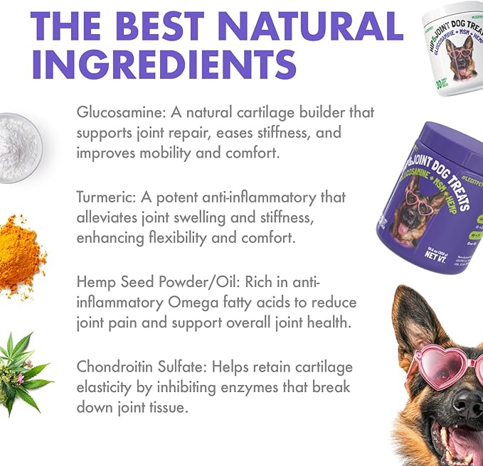 LEGITPET Hemp Hip & Joint Supplement for Dogs Soft Chews Made in USA Functional Glucosamine for Dogs Chondroitin MSM Turmeric Hemp Seed Oil Natural Pain Relief Mobility Advanced Joint 30 Treats