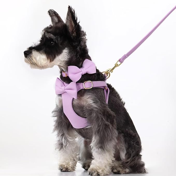Beirui Adorable Small Dog Harness Collar and Leash Set,Cute Puppy Harness Set with 3 Bows for Small Dogs,Shih Tzu,Dachshund,Adjustable Step-in Vest for Daily Walking,Parties&Holiday Outfits(Purple,S)