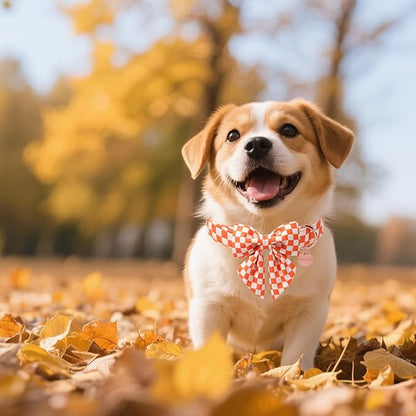 Fall Dog Collar with Bow Tie, Orange Plaid Bowtie Dog Collar, Autumn Bowtie Collars for Puppy Boy Girl Dogs, Comfortable Cotton Dogs Collars with Metal Buckle