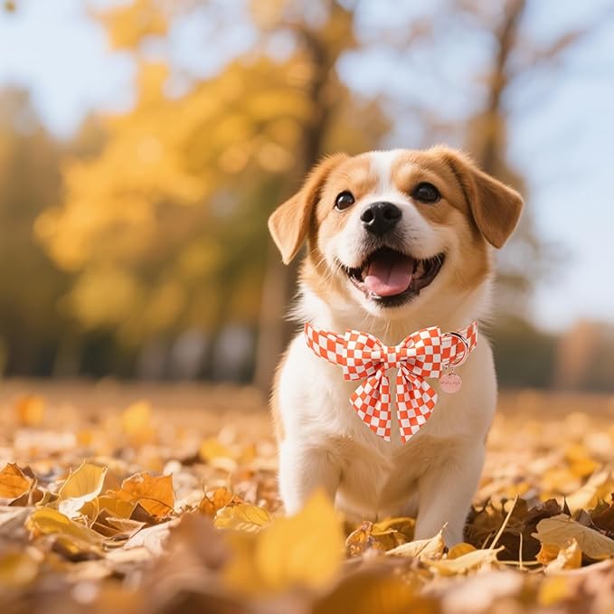 Fall Dog Collar with Bow Tie, Orange Plaid Bowtie Dog Collar, Autumn Bowtie Collars for Puppy Boy Girl Dogs, Comfortable Cotton Dogs Collars with Metal Buckle