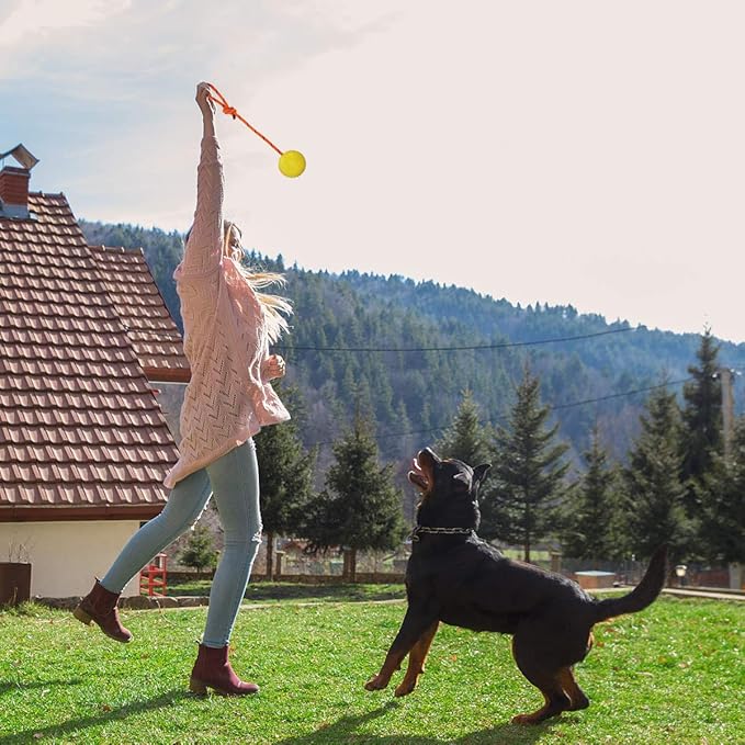 2 Pack Dog Ball, K9 Ball on Rope for Reward, Fetch, Play (7cm)