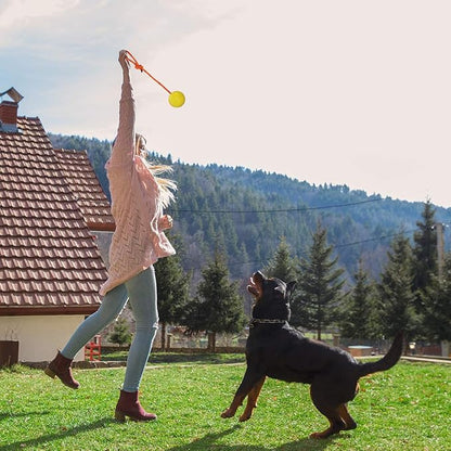 2 Pack Dog Ball, K9 Ball on Rope for Reward, Fetch, Play (7cm)
