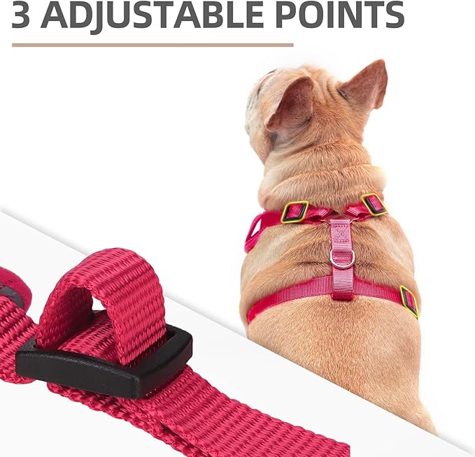 PUPTECK Small Dog Harness and Leash Set, No Pull Adjustable Puppy Cat Harness, Reflective Soft Mesh Pet Vest Small Sized, Fuchsia, XS