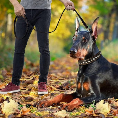 LWBMG Leather Dog Leash - 4ft x 3/4 inch, Heavy Duty, Braided, Comfortable for Large, Medium & Small Dogs