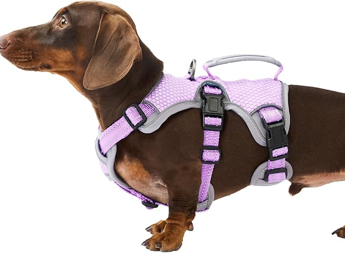 Huntboo Escape Proof Dog Harness, Escape Artist Harness, Reflective Dog Harness with Handle, Durable,Adjustable Vest for Small Medium Large Dogs Walking, Training, and Running Gear(Lavender Purple,S)