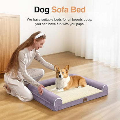 Medium Large Dog Bed Orthopedic Washable: Beds Bolster Medium Large Sized Dog Bed Egg Crate Foam Couch Sofa Waterproof with Removable Cover - Purple