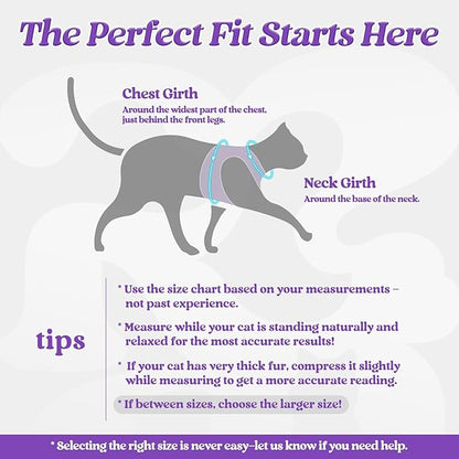 rabbitgoo Cat Harness and Leash Set for Walking Escape Proof, Adjustable Soft Kittens Vest with Reflective Strip for Cats, Comfortable Outdoor Vest, Purple, S