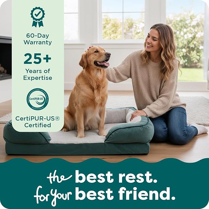 FurHaven Cooling Gel Dog Bed for Large Dogs, Comfort Sofa Bed with Cool Gel-Top Foam with a Solid Orthopedic Foam Base for Joint Support, Washable Cover, Jumbo XL, Plush & Velvet, Celadon Green.