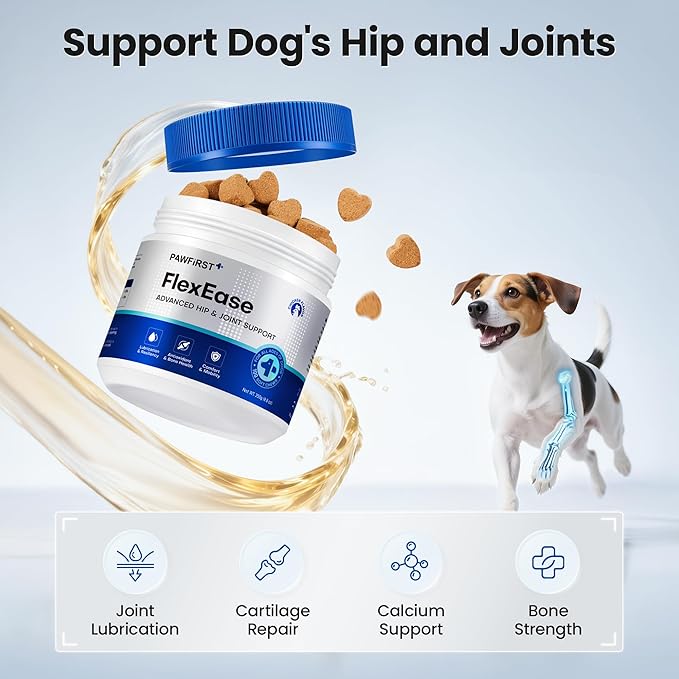 Glucosamine for Dogs Hip and Joint Supplement Soft Chews, Chondroitin Joint Supplement with MSM, Green-lipped Mussels for Small Medium & Large Dogs -100 Ct