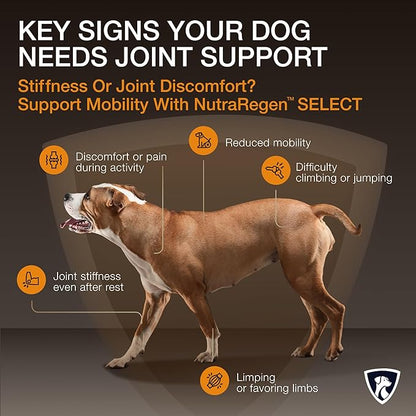 NutraRegen Select Senior Dog Joint Supplement 45 Scoops | Natural Glucosamine Chondroitin for Dogs with Collagen | Hip and Joint Powder | 7.7 Oz